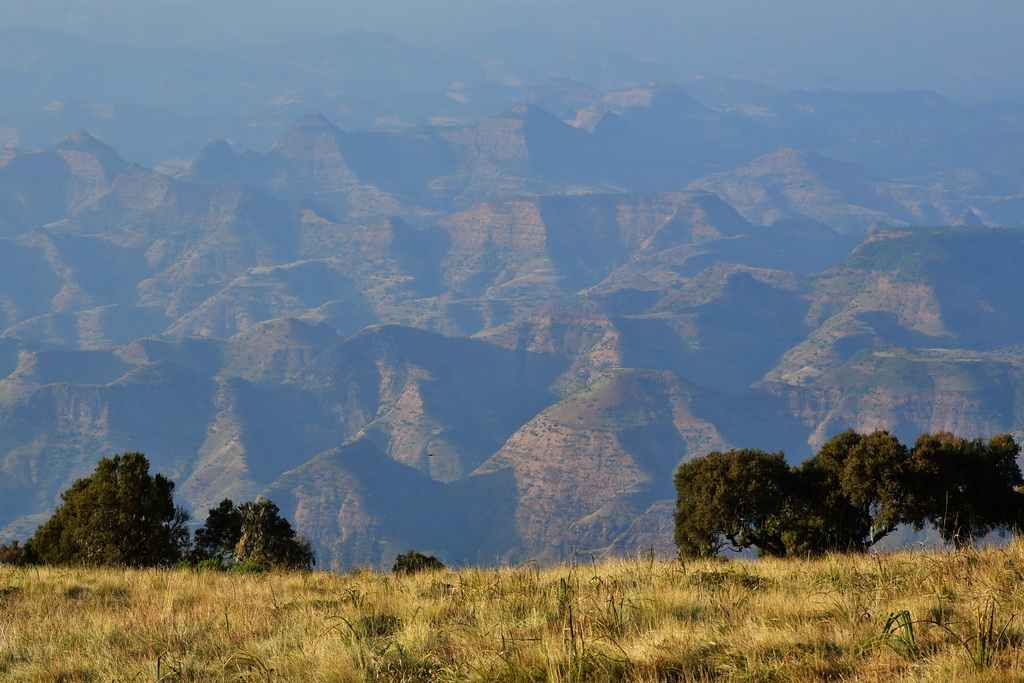 Simien Mountains N.P.